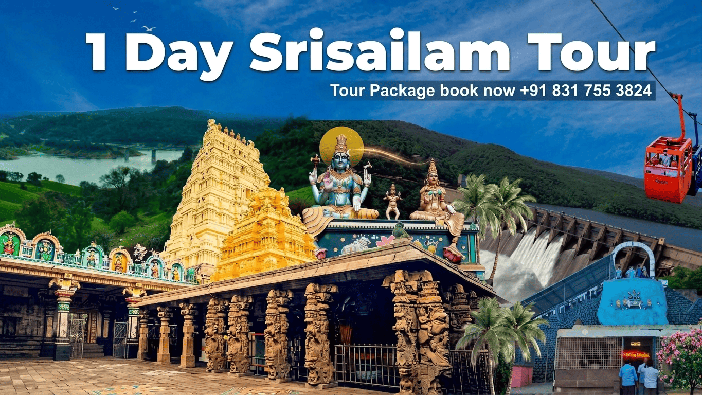 One day tour package